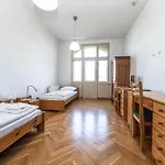 Jiriho Z Podebrad 公寓 *